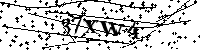 Por favor escreva as letras e números abaixo