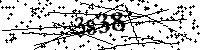 Por favor escreva as letras e números abaixo