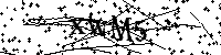 Por favor escreva as letras e números abaixo