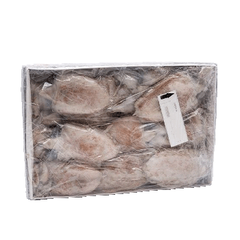 Choco Congelado Inteiro, 2 kg