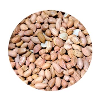 Amendoim, 1 Kg