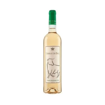 Vinho Branco Terras de Paul, 750ml