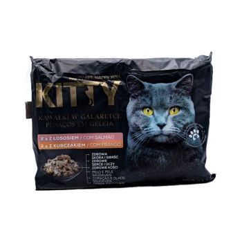 Alimento Húmido para Gato em Geleia Salmão e Frango, 4x100g