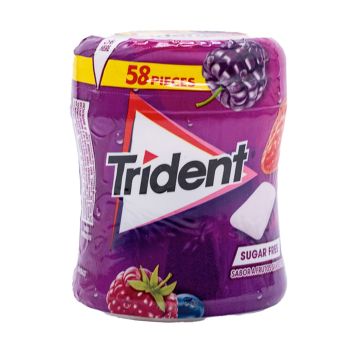 Pastilhas Trident Fresh Spearmint, 58 un