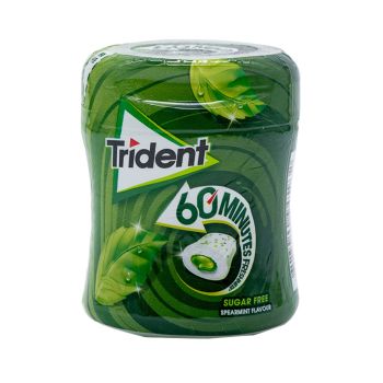 Pastilhas Elásticas Trident 60 Minutes Spearmint, 68g
