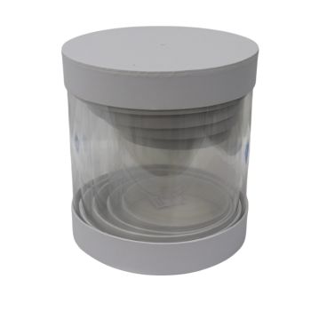 Conjunto de Caixas Transparentes para Embalagem, 5Un