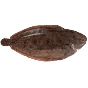 Peixe Linguado, 2kg