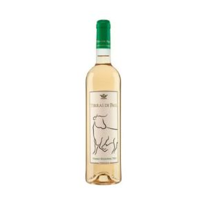 Vinho Branco Terras de Paul, 750ml