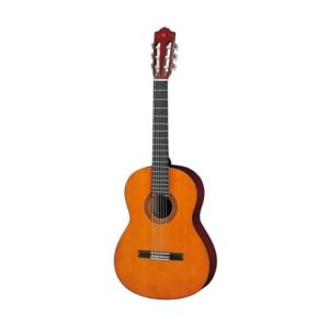 Guitarra Acústica Hybrid, GAY4010
